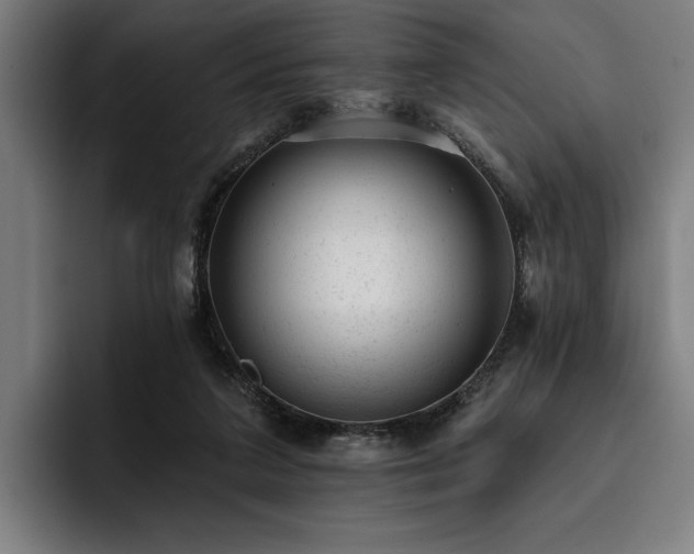 X0000093420211200710121149