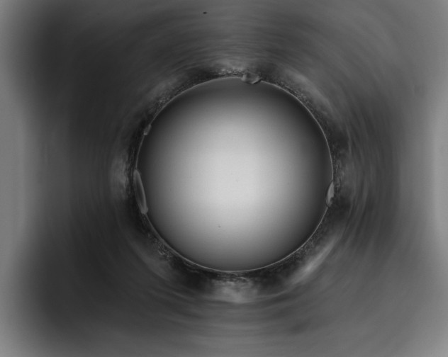 X0000093420215200710121149