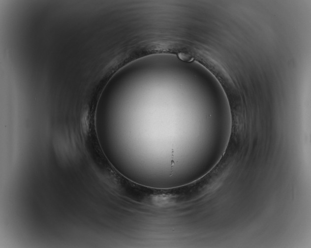 X0000093420216200710121149