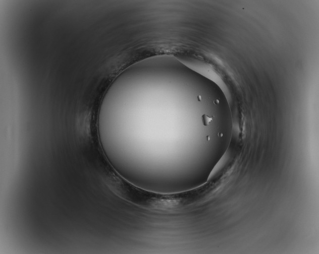 X0000093420217200710121149