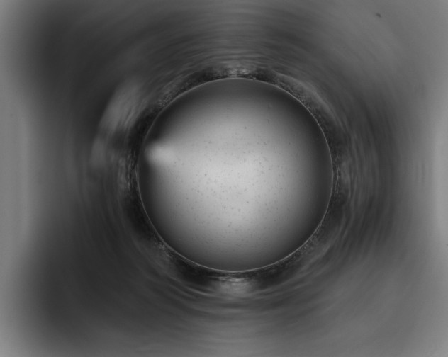 X0000093420218200710121149