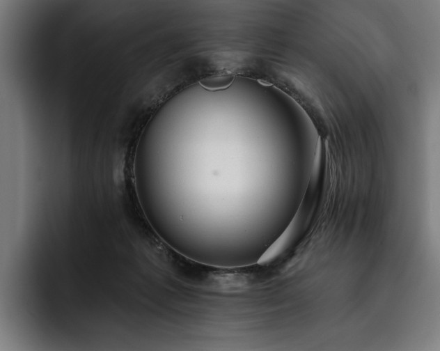 X0000093420221200710121149