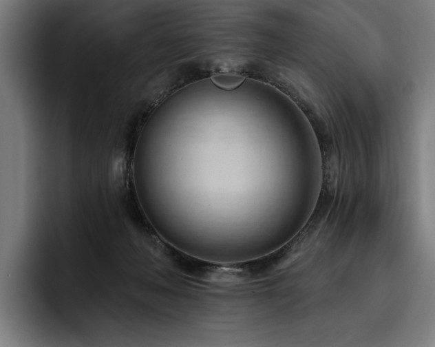X0000093420222200710121149