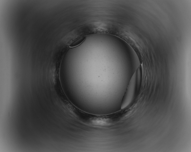 X0000093420223200710121149