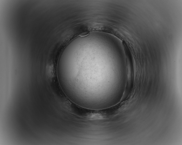 X0000093420224200710121149