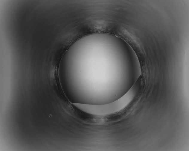 X0000093420225200710121149