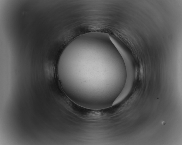 X0000093420227200710121149