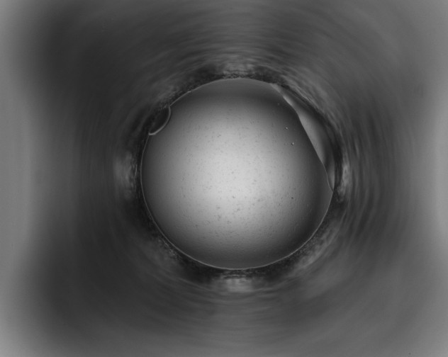X0000093420228200710121149