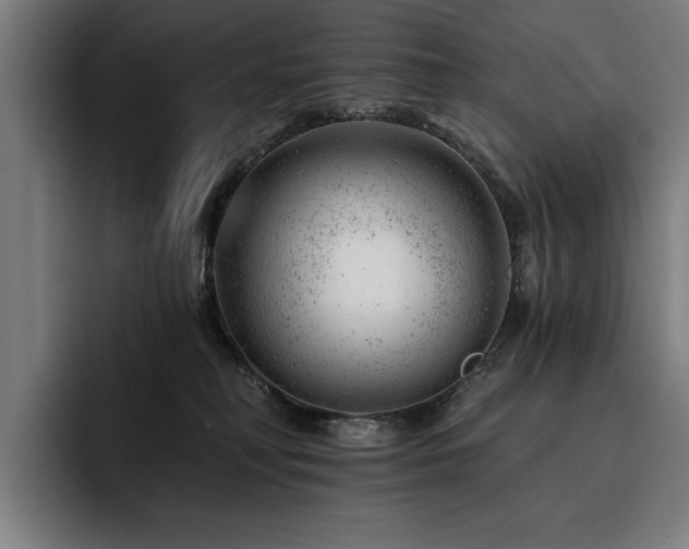 X0000093420230200710121149