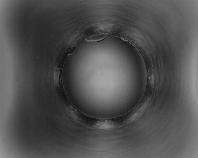 X0000093420231200710121149