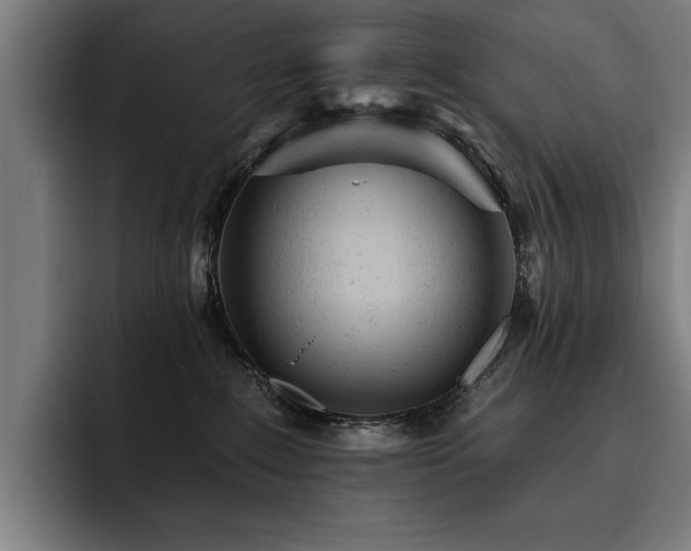 X0000093420235200710121149