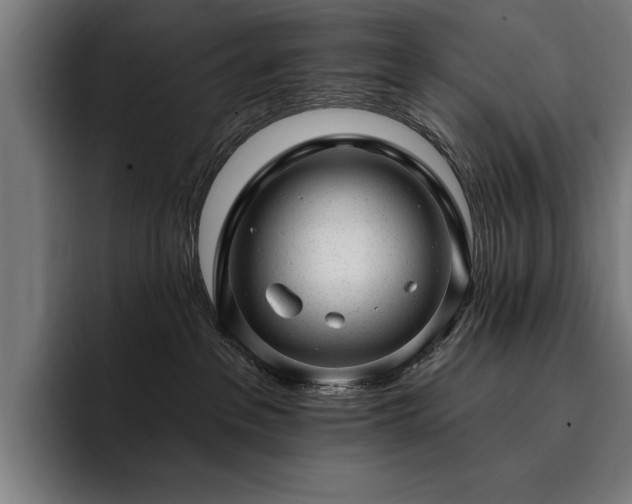 X0000093420237200710121149