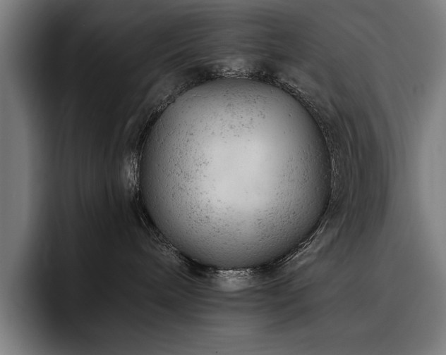 X0000093420240200710121149
