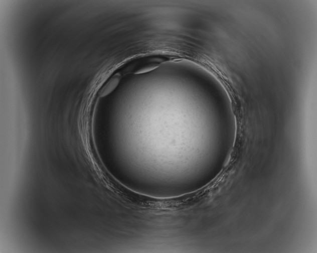 X0000093420241200710121148