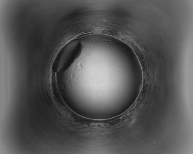 X0000093420242200710121148