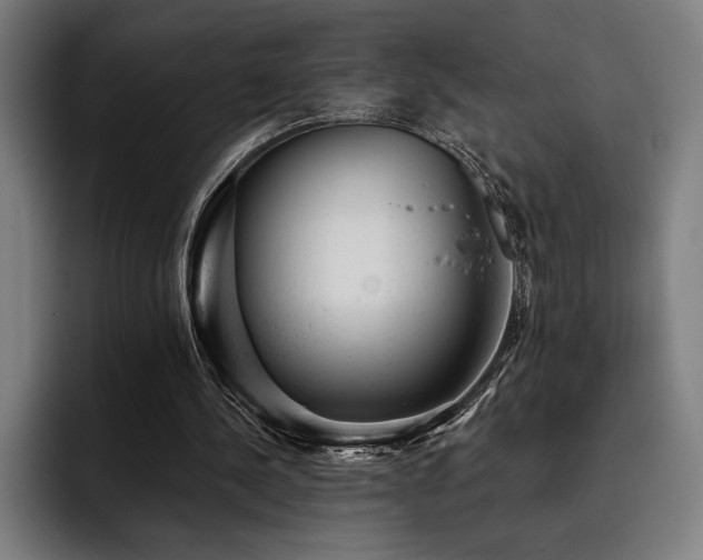 X0000093420244200710121148