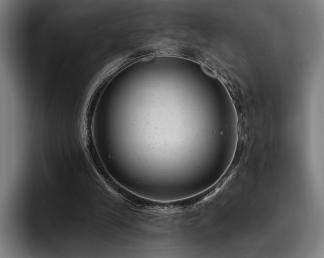 X0000093420245200710121148