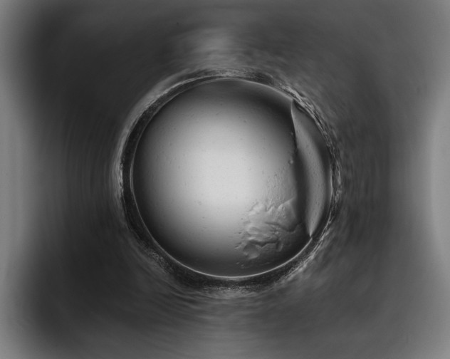 X0000093420246200710121149