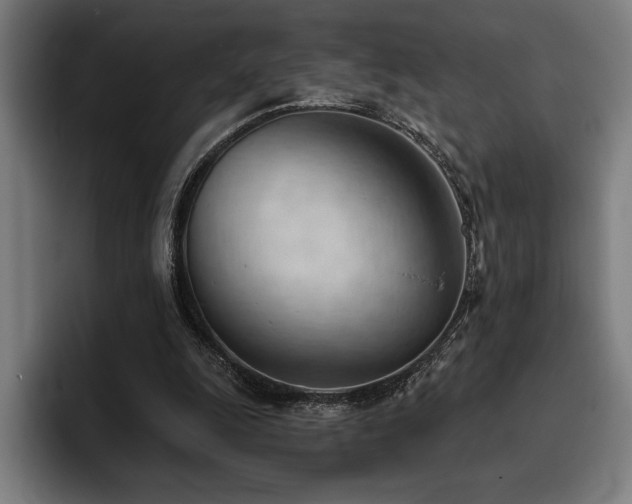 X0000093420247200710121149