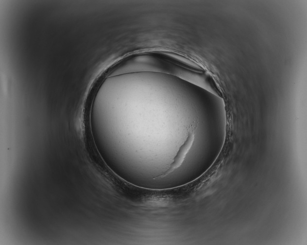 X0000093420248200710121149
