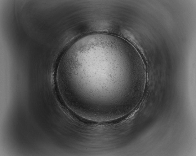 X0000093420249200710121149