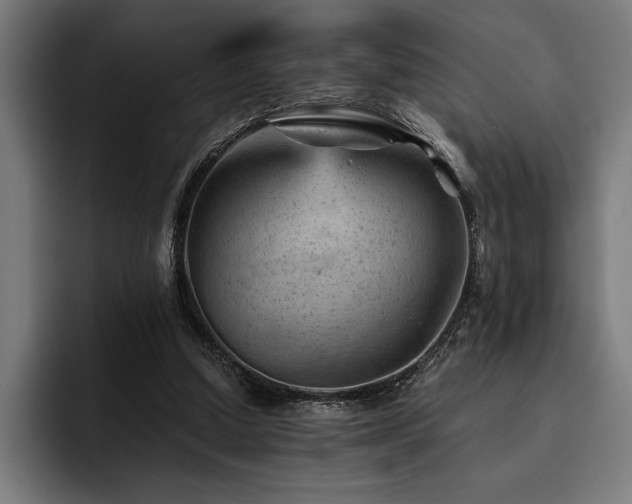 X0000093420250200710121149
