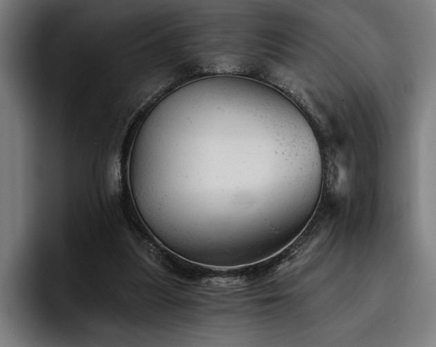 X0000093420251200710121149