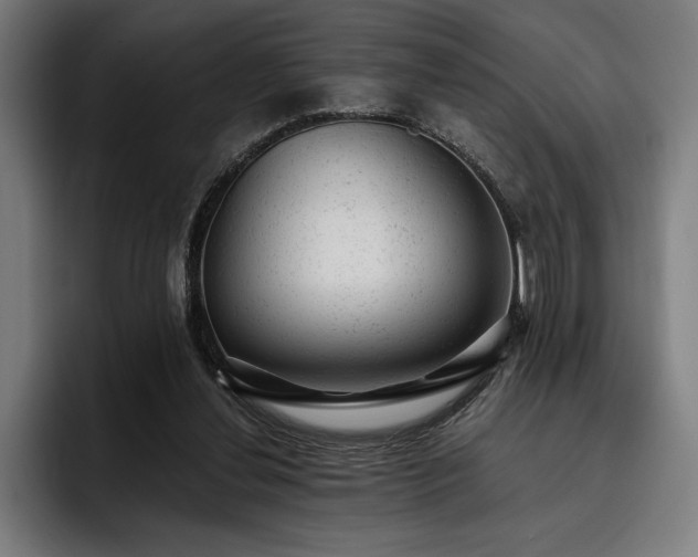 X0000093420252200710121149