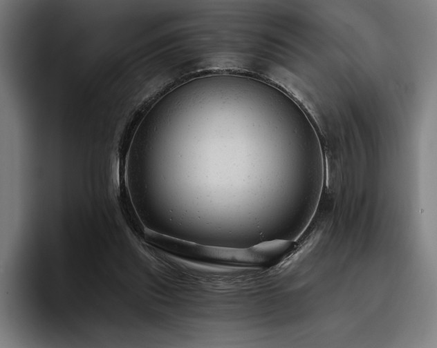 X0000093420253200710121149