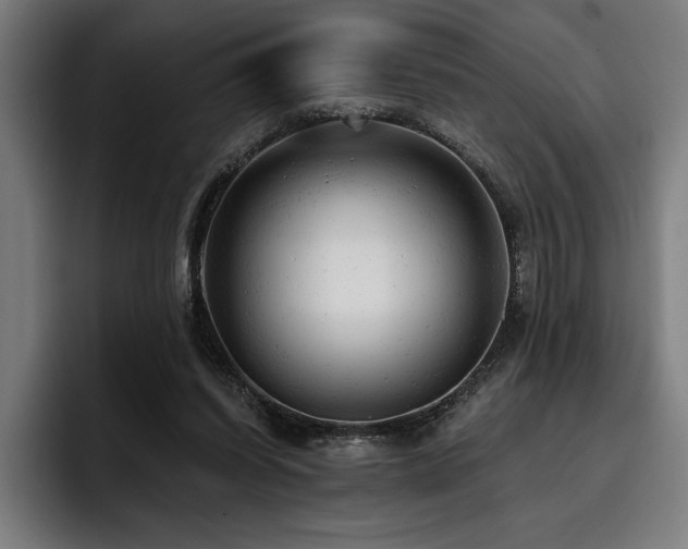 X0000093420254200710121149