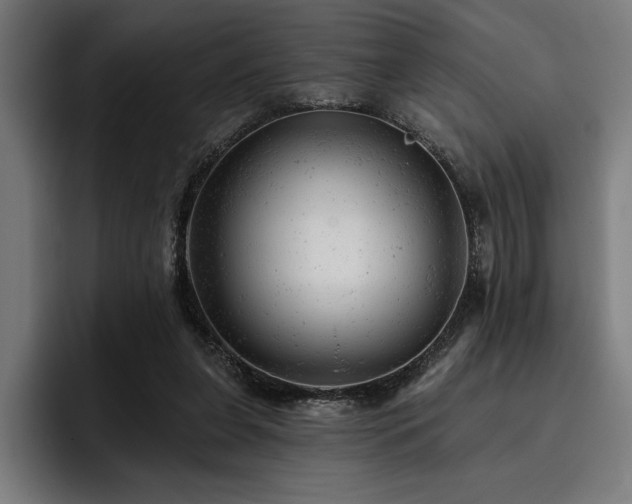 X0000093420255200710121149