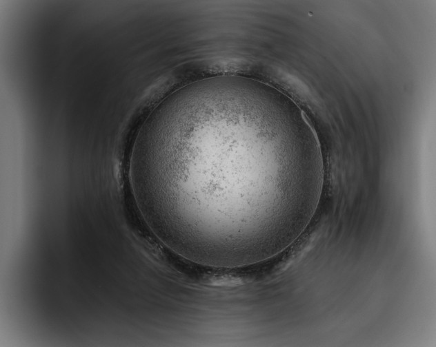 X0000093420258200710121149
