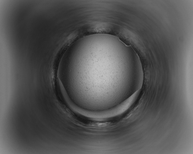 X0000093420260200710121149