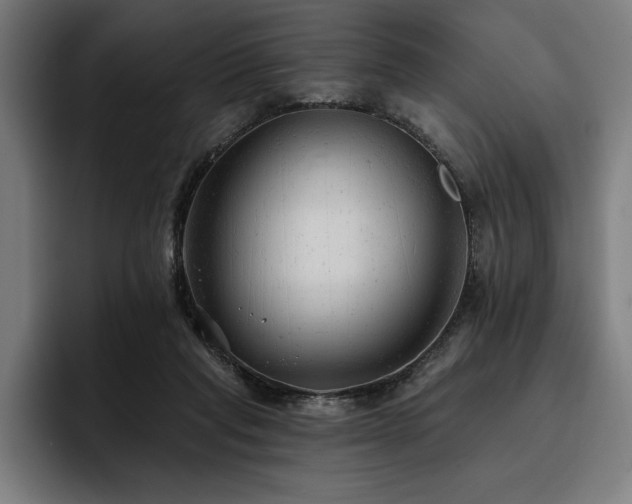 X0000093420261200710121149
