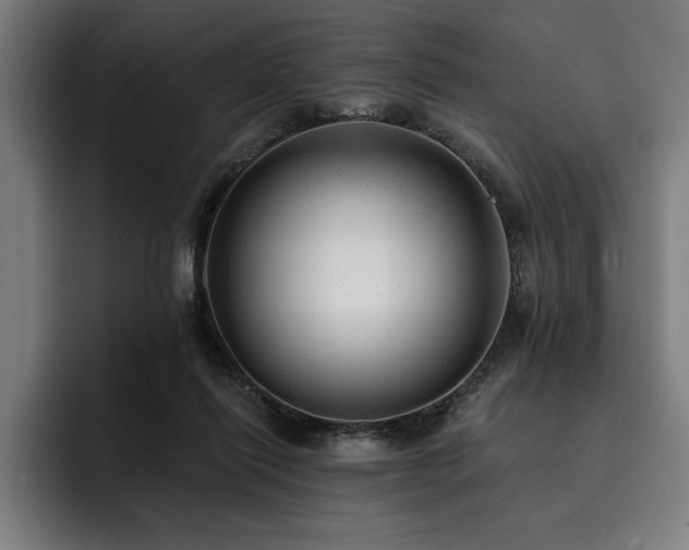 X0000093420262200710121149