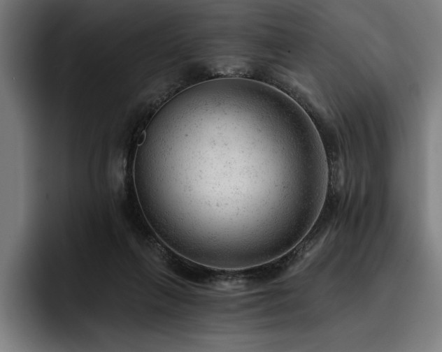 X0000093420263200710121149