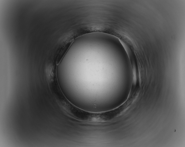 X0000093420264200710121149