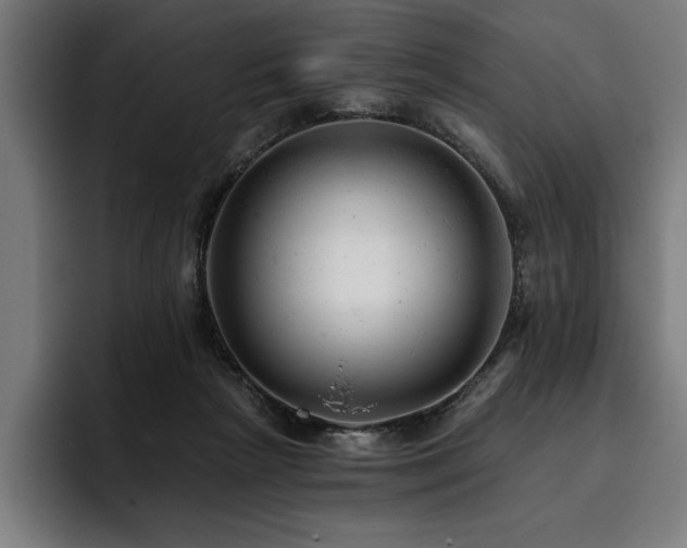 X0000093420265200710121149