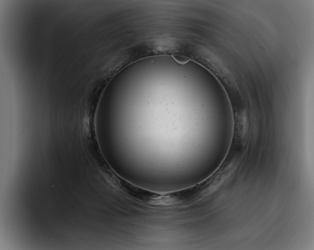 X0000093420269200710121149
