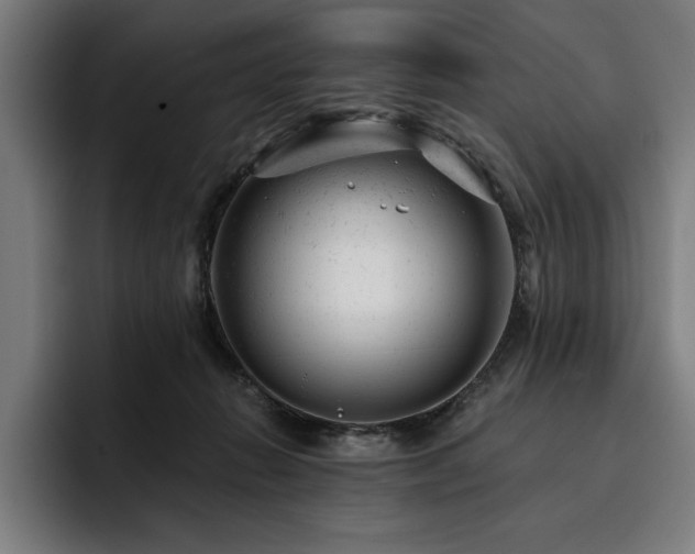 X0000093420270200710121149