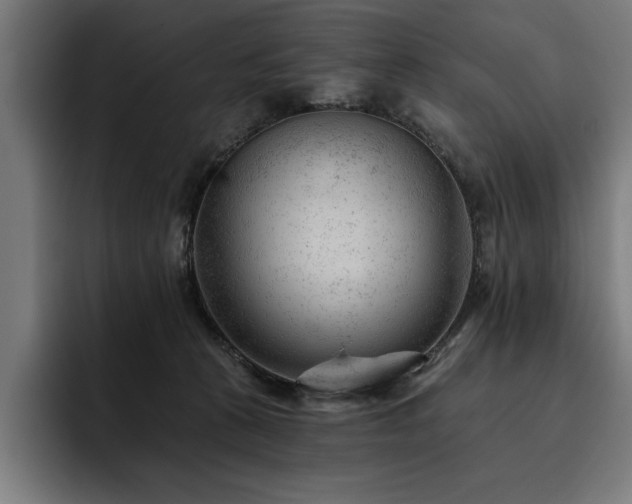 X0000093420273200710121149