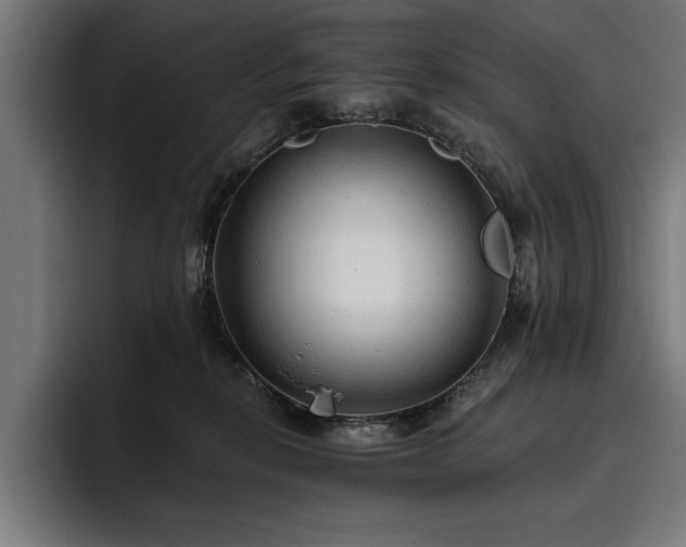 X0000093420278200710121149