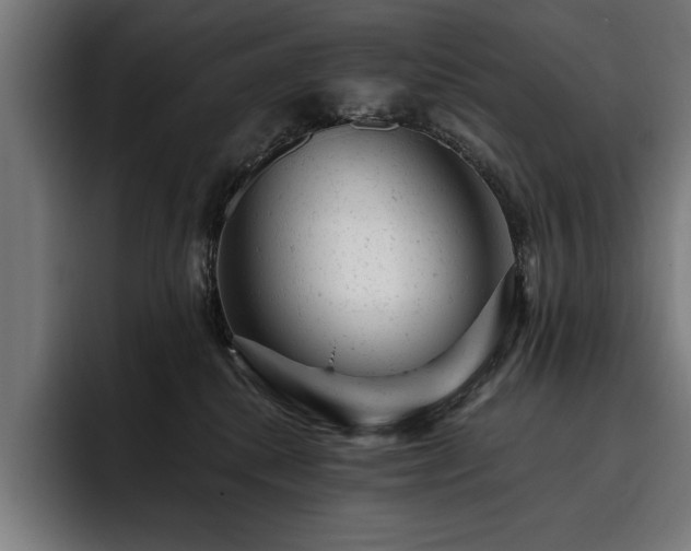 X0000093420280200710121149