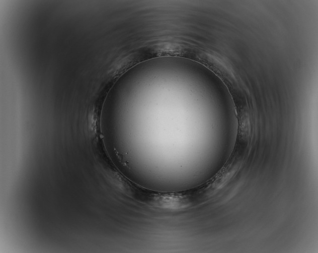 X0000093420282200710121149