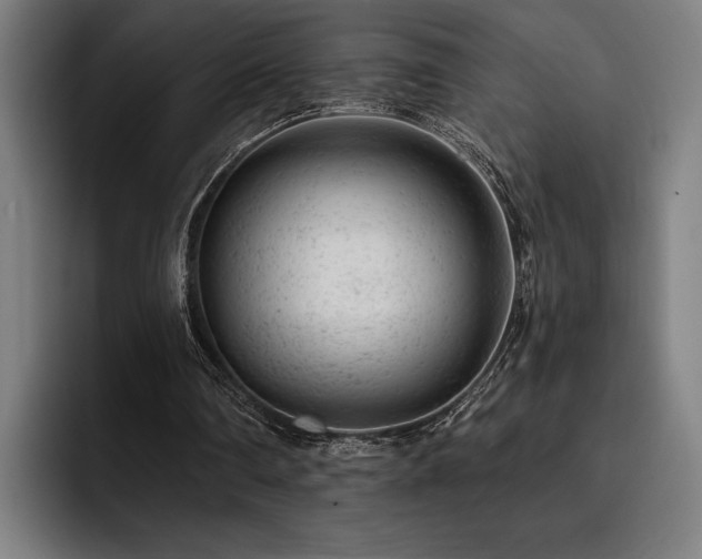 X0000093420290200710121148