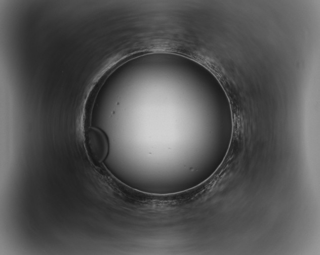X0000093420292200710121148