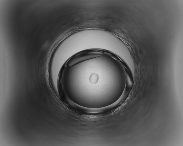 X0000093420293200710121148