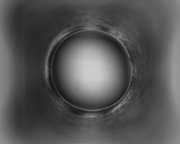 X0000093420294200710121148