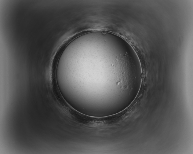 X0000093420296200710121148