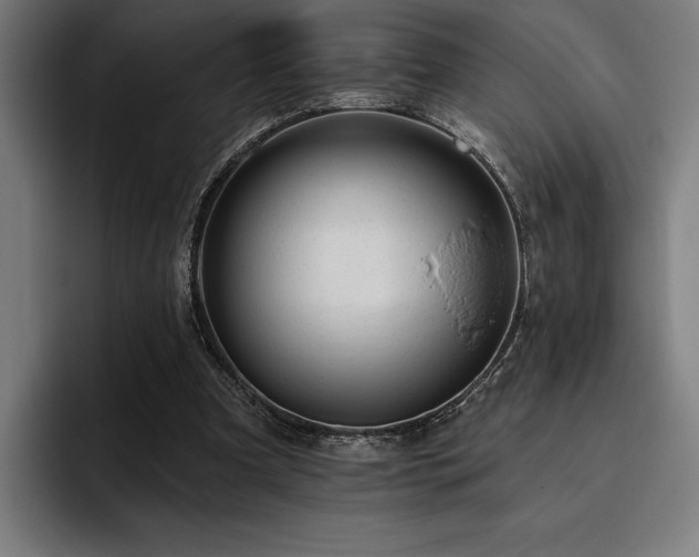X0000093420297200710121148
